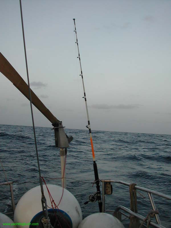 29 Neue Angel im Einsatz